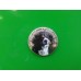 Placka s magnetem a velkým švýcarským salašniským psem
